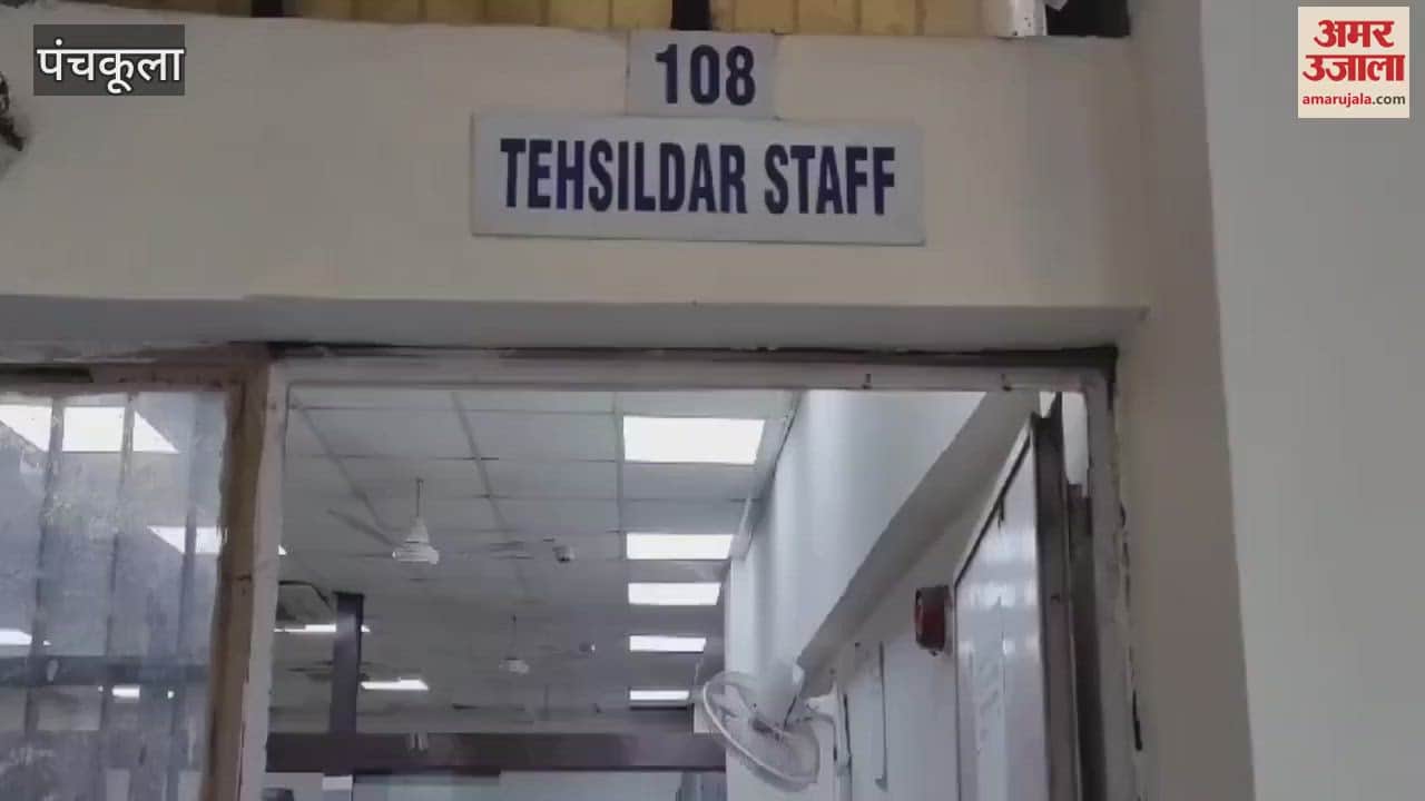 VIDEO : Registry started in the Tehsil located in Sector 1 Panchkula