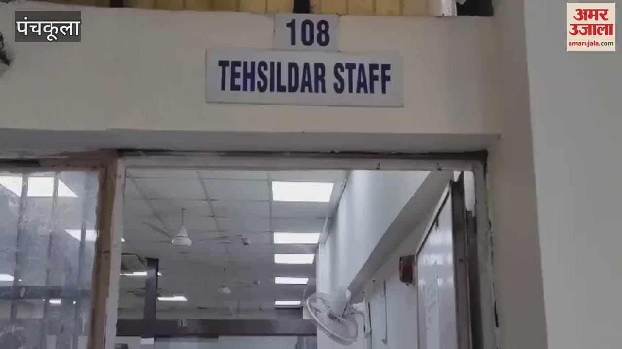 VIDEO : Registry started in the Tehsil located in Sector 1 Panchkula