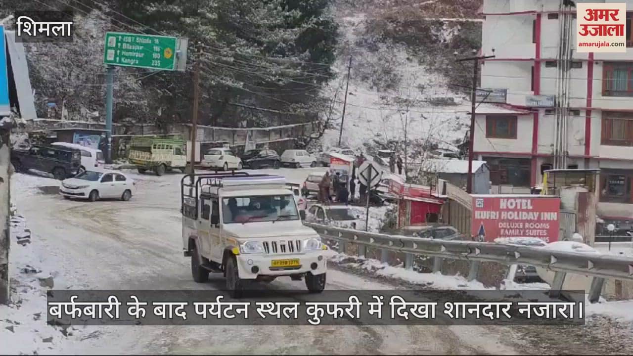 VIDEO : After snowfall, a wonderful view was seen in the tourist spot Kufri
