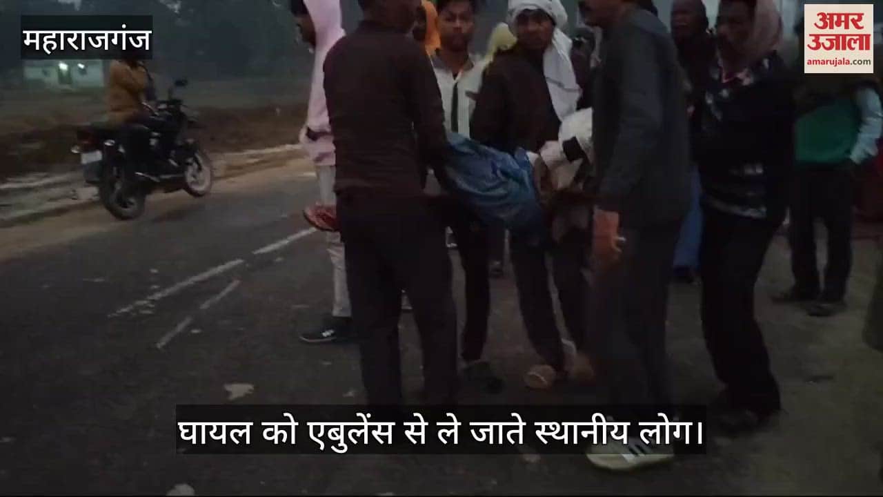 VIDEO : One injured in road accident, admitted to hospital