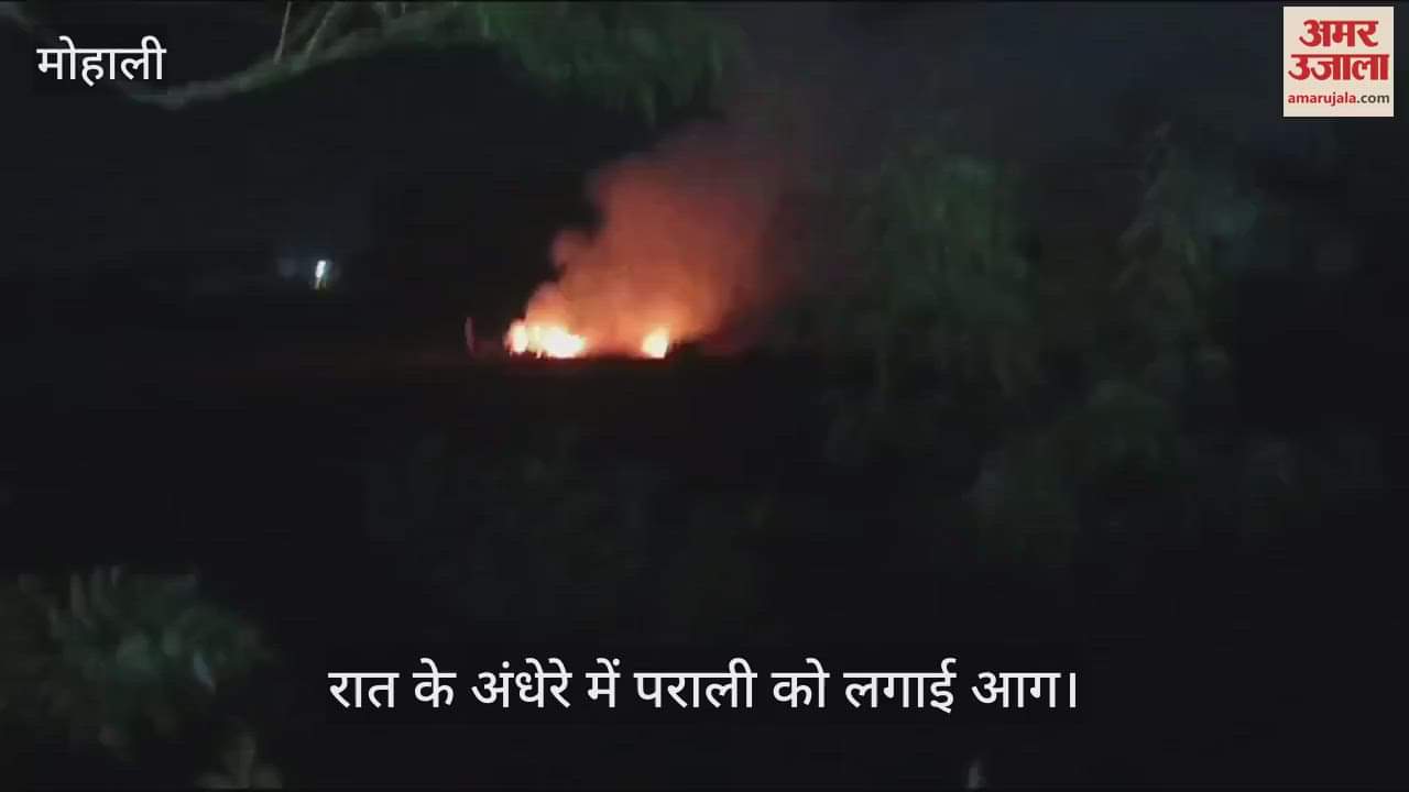 VIDEO : मोहाली में रात में पराली को लगाई आग, हाईवे पर धुआं ही धुआं