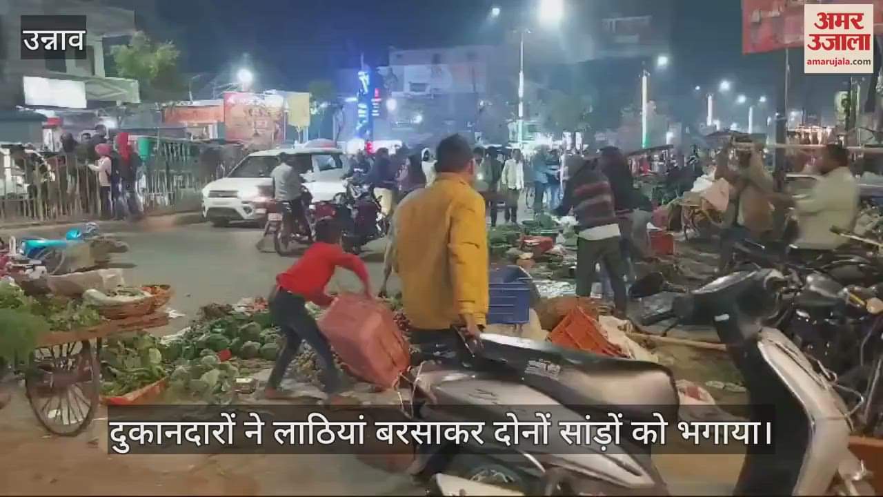 VIDEO : Two bulls clashed in the vegetable market, four people injured