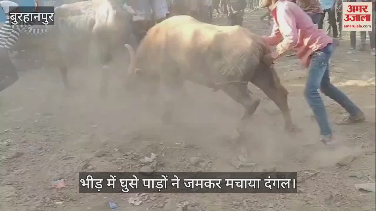The miscreants who got out of control in the crowd created a ruckus during the wrestling match