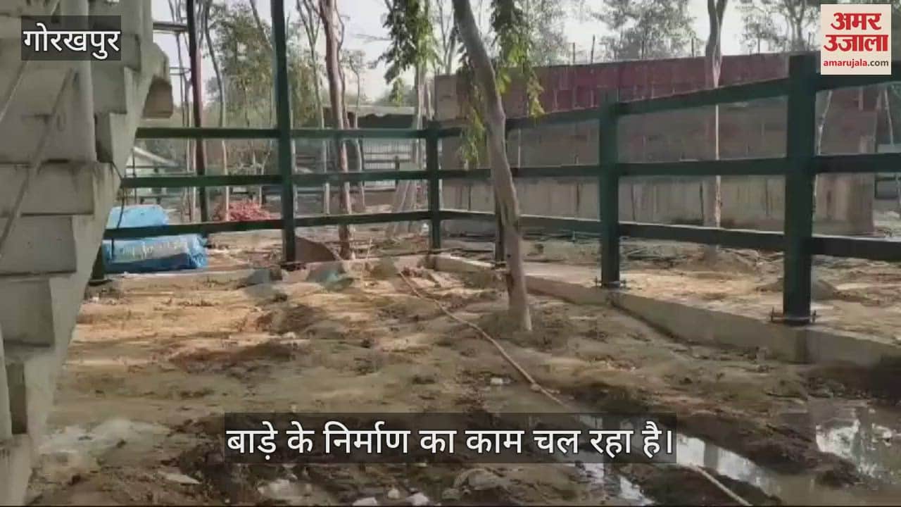 VIDEO : Elephant enclosure being prepared in the zoo