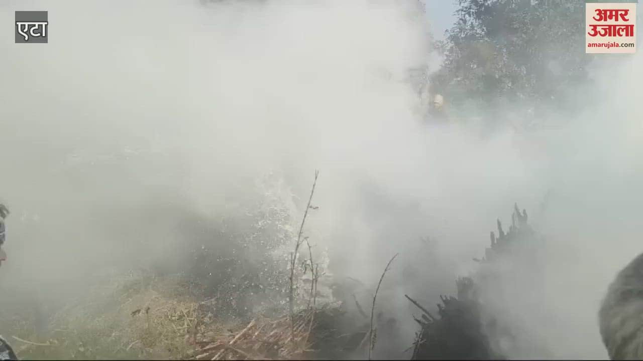 VIDEO : धान  की पराली में लगी दी आग, धुआं उठते देख छूटे किसानों के पसीने