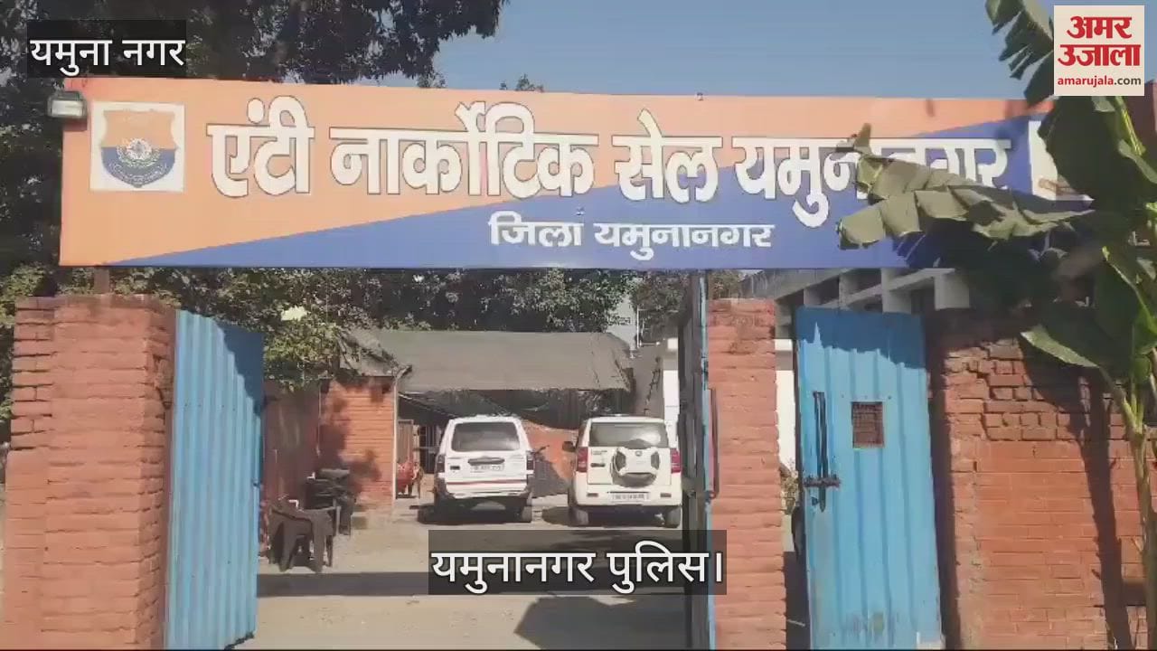 VIDEO : Anti-narcotics cell takes action in Yamunanagar, a smuggler from UP arrested with 6 kg poppy husk