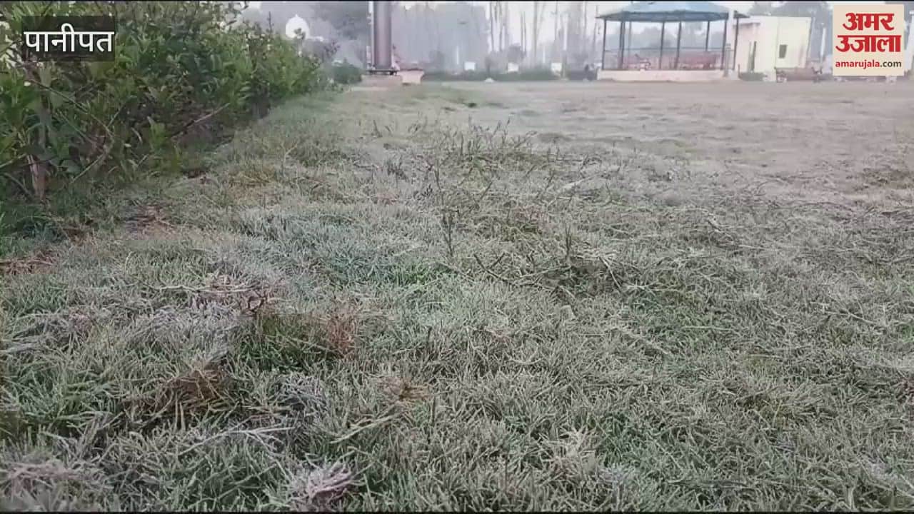 VIDEO : पहाड़ों में बर्फबारी के बाद मैदानी क्षेत्र में पड़ा पाला, पानीपत में ठिठुरन बढ़ी