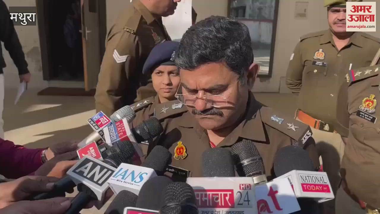 VIDEO : पंजाब से छत्तीसगढ़ जा रही अंग्रेजी शराब पुलिस ने पकड़ी, पुट्टी के कट्टों के पीछे छिपाकर हो रही थी तस्करी