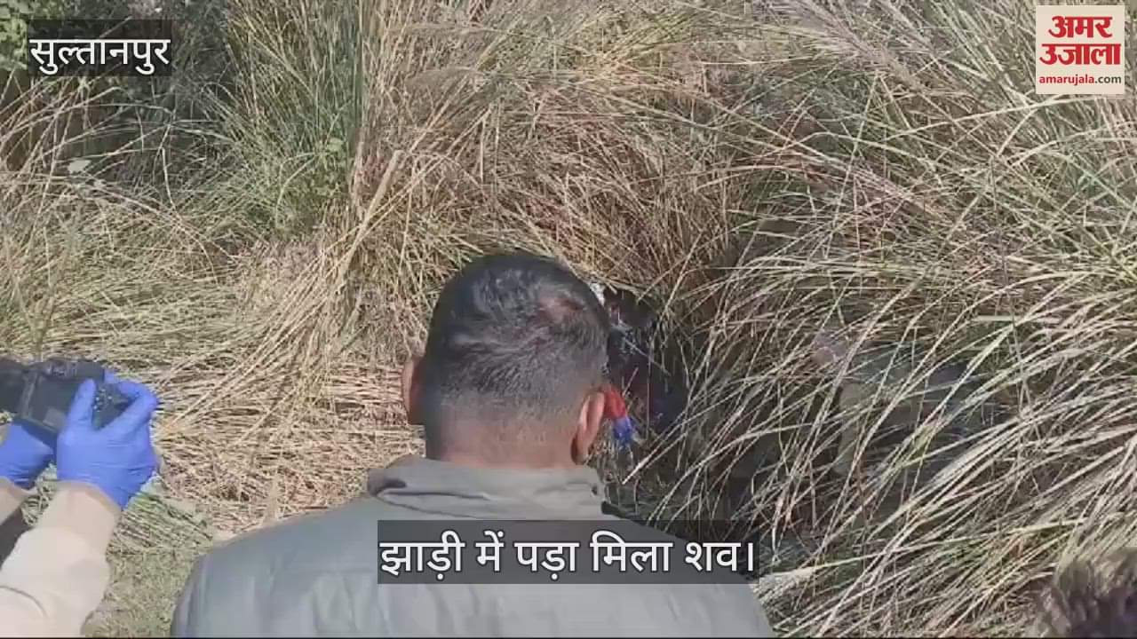 VIDEO : Sultanpur: झाड़ी में मिला नरकंकाल, हत्या कर फेंके जाने की आशंका, कई दिन पहले का लग रहा शव