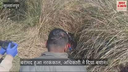 VIDEO : Sultanpur: झाड़ियों में मिला नरकंकाल, अधिकारी ने दिया बयान, बोले- अभी नहीं हो पाई पहचान