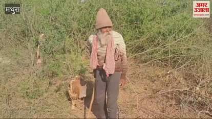VIDEO : अक्रूर के जंगल से काटे जा रहे पेड़