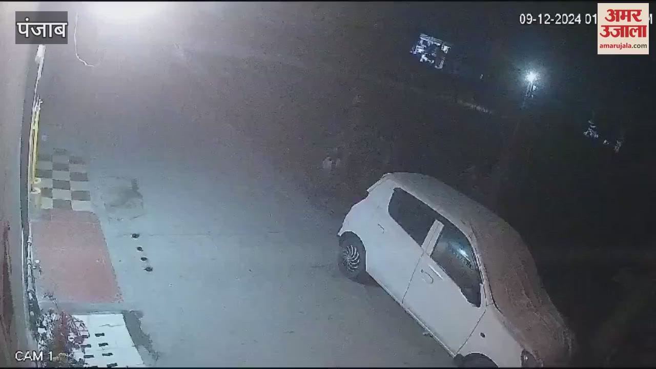VIDEO : Gang of thieves active in Ajit Nagar area of Kapurthala