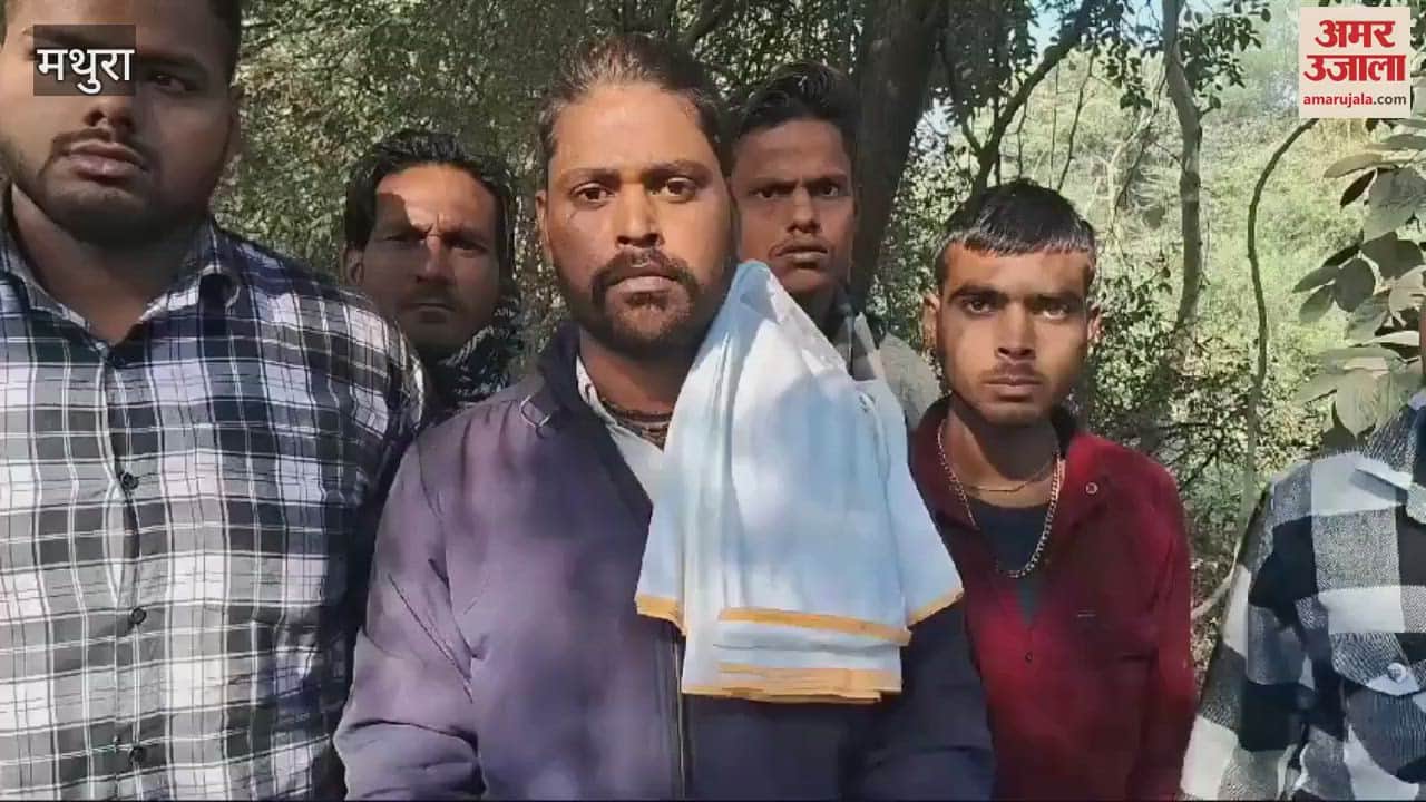 VIDEO : 40 गाय मरीं पड़ीं हैं...ऐसा दृश्य देख कांप गए हम; ये बोले प्रत्यक्षदर्शी