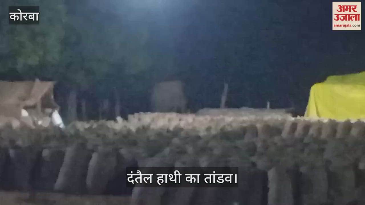 VIDEO : A tusker elephant entered the paddy procurement centre in Korba late at night and wreaked havoc