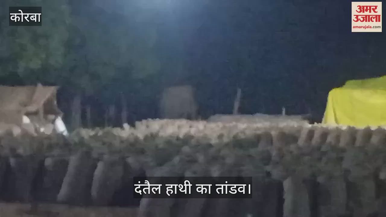 VIDEO : A tusker elephant entered the paddy procurement centre in Korba late at night and wreaked havoc