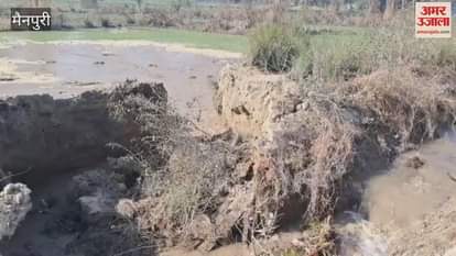 VIDEO : मैनपुरी में रजबहा में खंदी कटने से सैकड़ों बीघा फसल जलमग्न