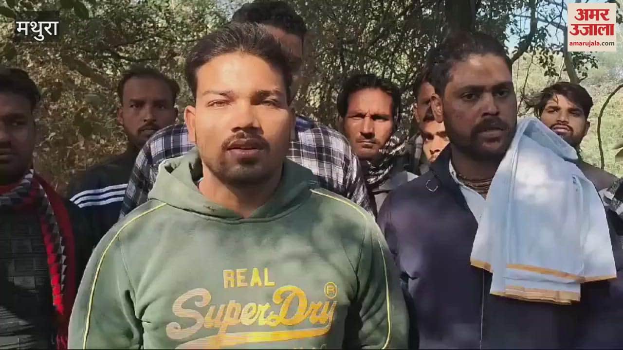 VIDEO : गायों की ऐसी हालत के लिए जिम्मेदार हिंदू, ये बोले गोरक्षा विभाग के सदस्य