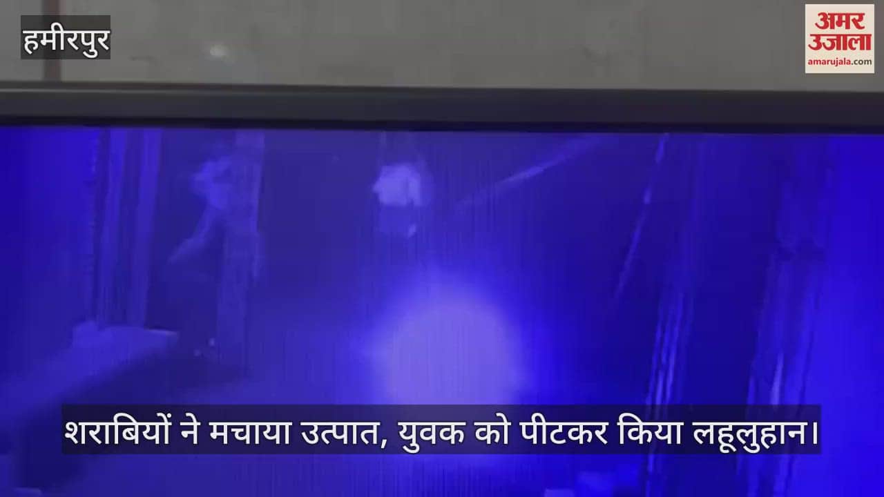 VIDEO : हमीरपुर में शराबियों ने मचाया उत्पात… बीच बचाव करने वाले युवक को पीटकर किया लहूलुहान, अस्पताल में भर्ती