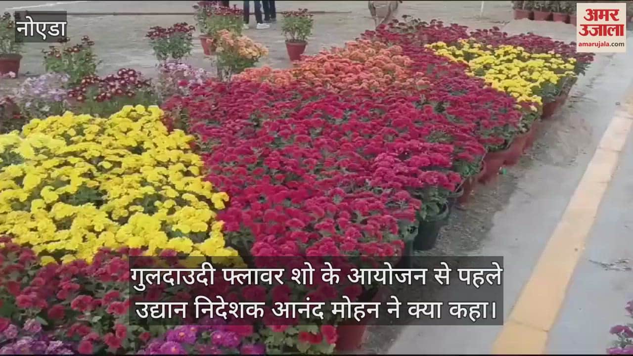 VIDEO : Chrysanthemum flower show will run for two days in Noida