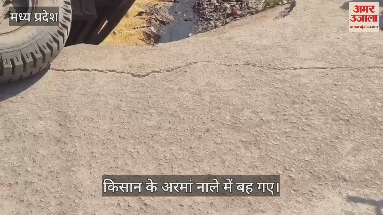 Guna News Farmer dreams were washed away in drain because culvert collapsed watch video