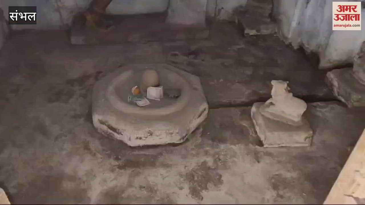 VIDEO : Archaeological department will also investigate Sambhal temple, it is likely to be more than two hundred years old