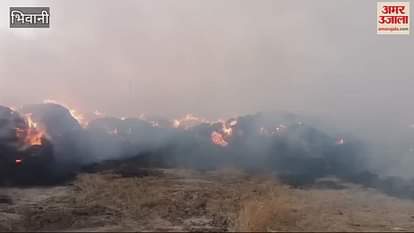 VIDEO : Fire broke out in paddy straw storage due to electrical short circuit in Bhiwani