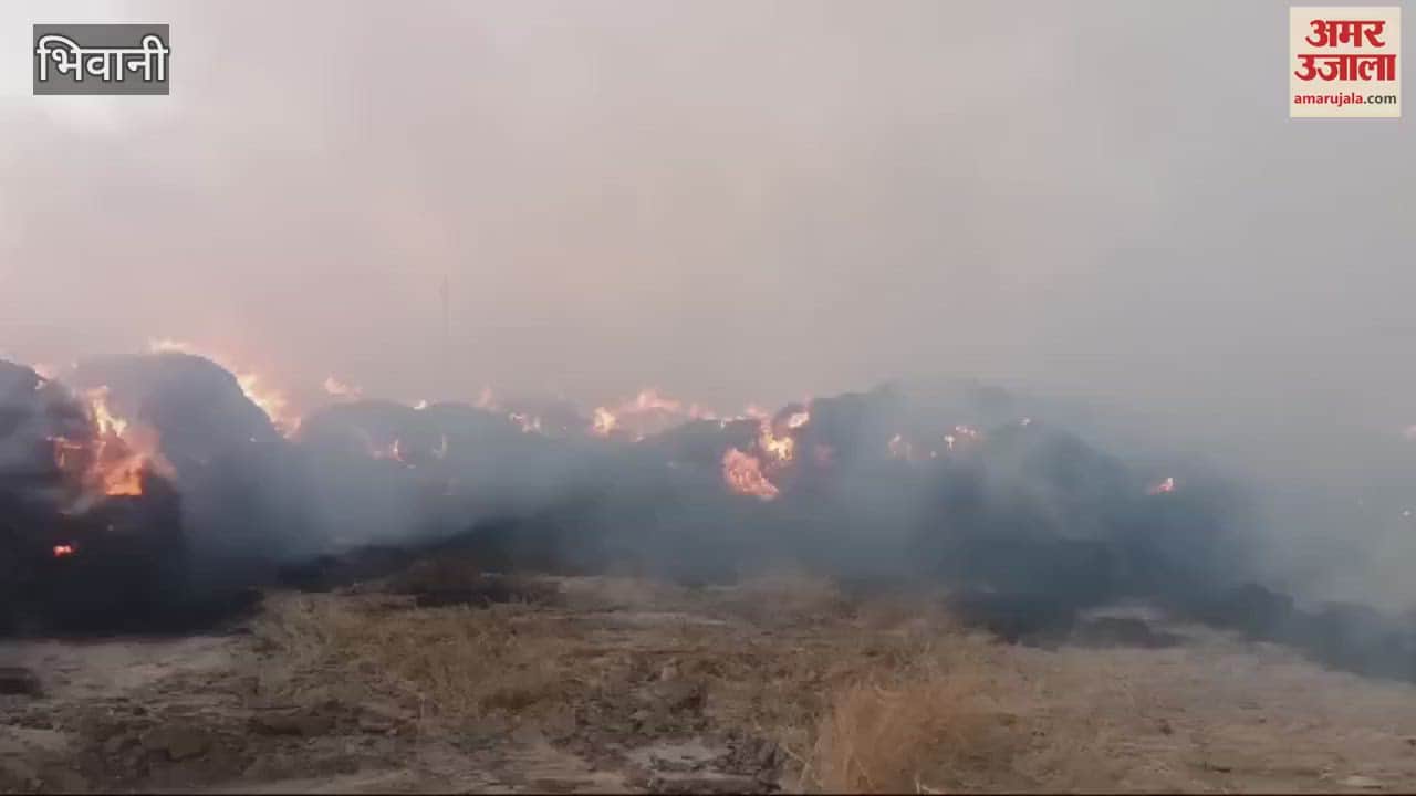 VIDEO : Fire broke out in paddy straw storage due to electrical short circuit in Bhiwani