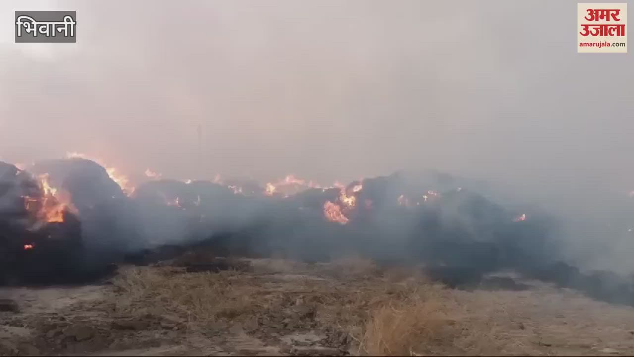 VIDEO : Fire broke out in paddy straw storage due to electrical short circuit in Bhiwani