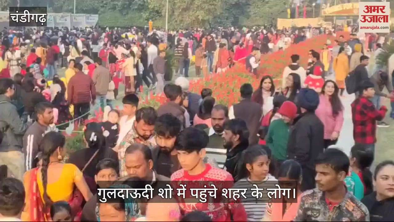 VIDEO : चंडीगढ़ में गुलदाउदी शो, बच्चों और परिवार के साथ पहुंचे लोग