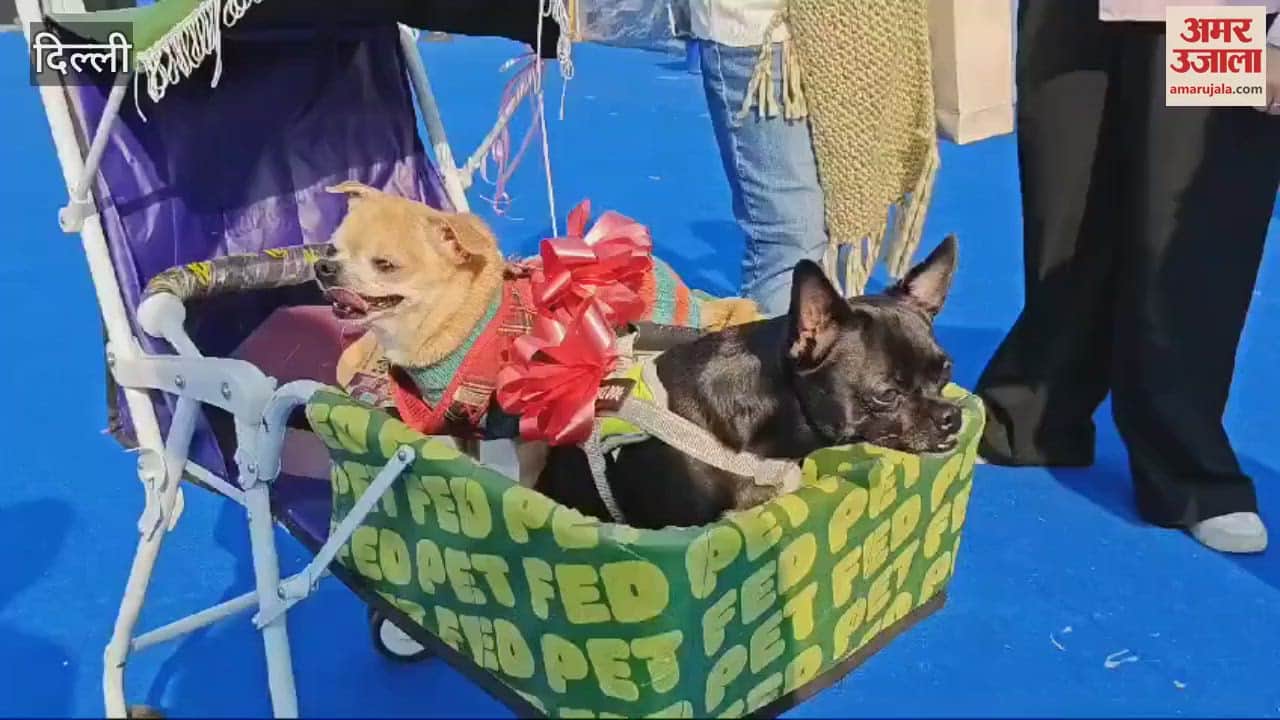 VIDEO : People reached the dog festival in Delhi with their dogs