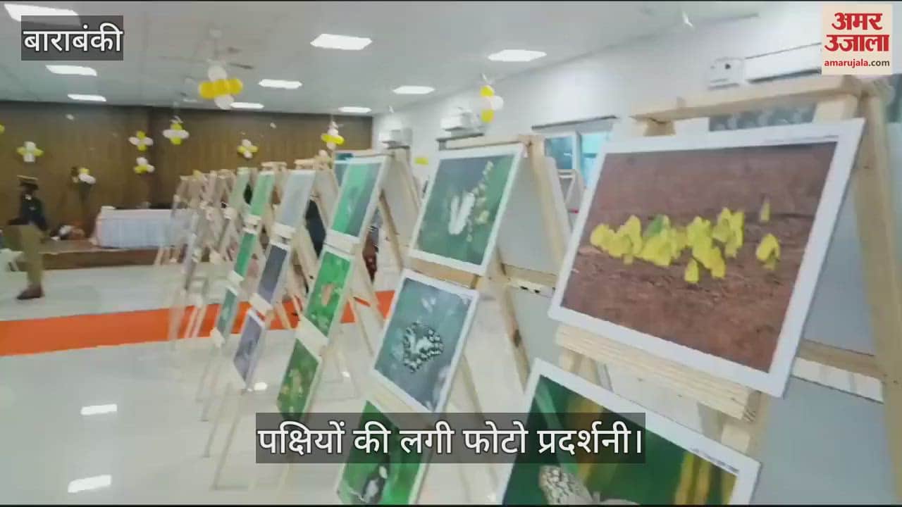 VIDEO : बाराबंकी में लगी पक्षी और जीव जंतुओं की फोटो प्रदर्शनी, सात समंदर पार से आए पक्षियों की दुर्लभ फोटो प्रदर्शित