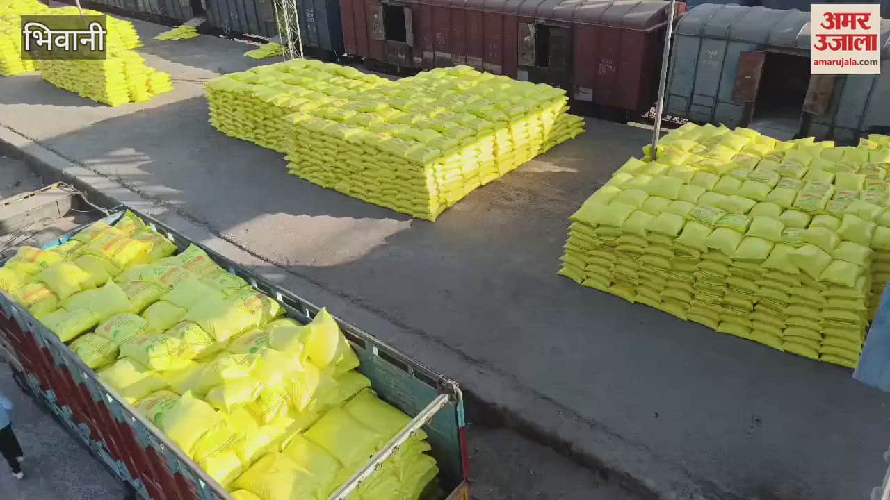 VIDEO : New rack of urea reached Bhiwani, 50850 urea bags supplied