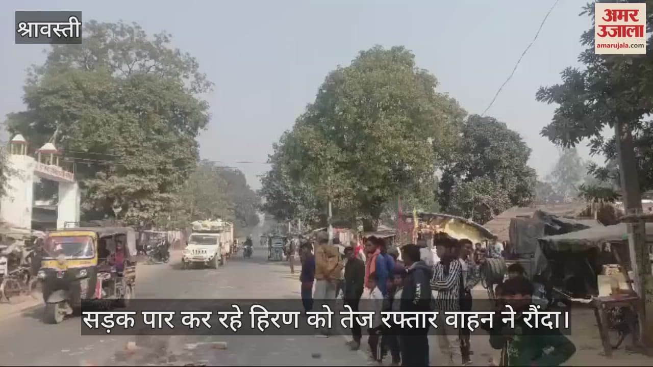 VIDEO : सड़क पार कर रहे हिरण को तेज रफ्तार वाहन ने रौंदा