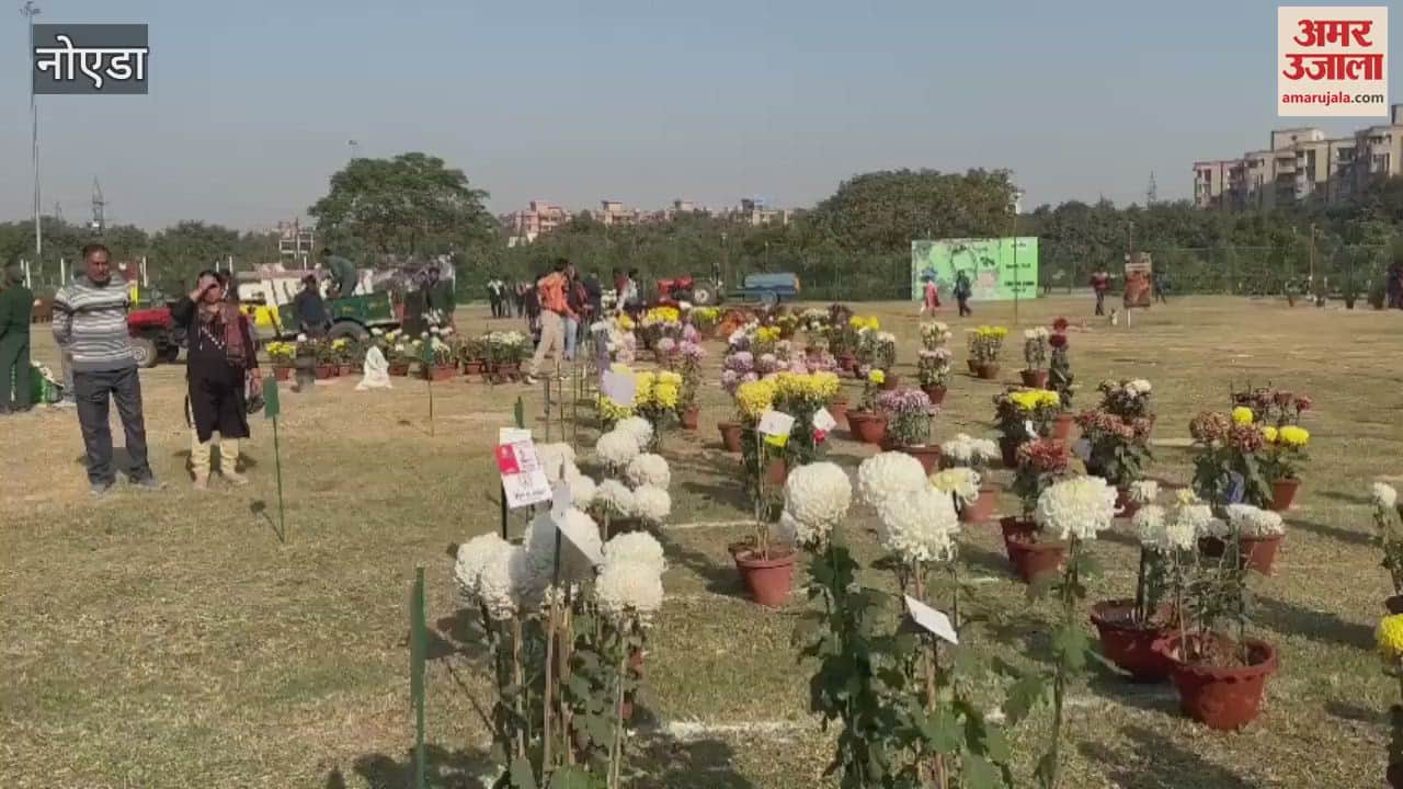 VIDEO : Chrysanthemum show begins at Shivalik Park in Noida