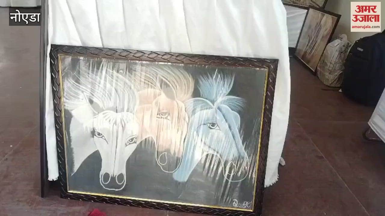 VIDEO : Art exhibition of prisoners organized in District Jail Surajpur