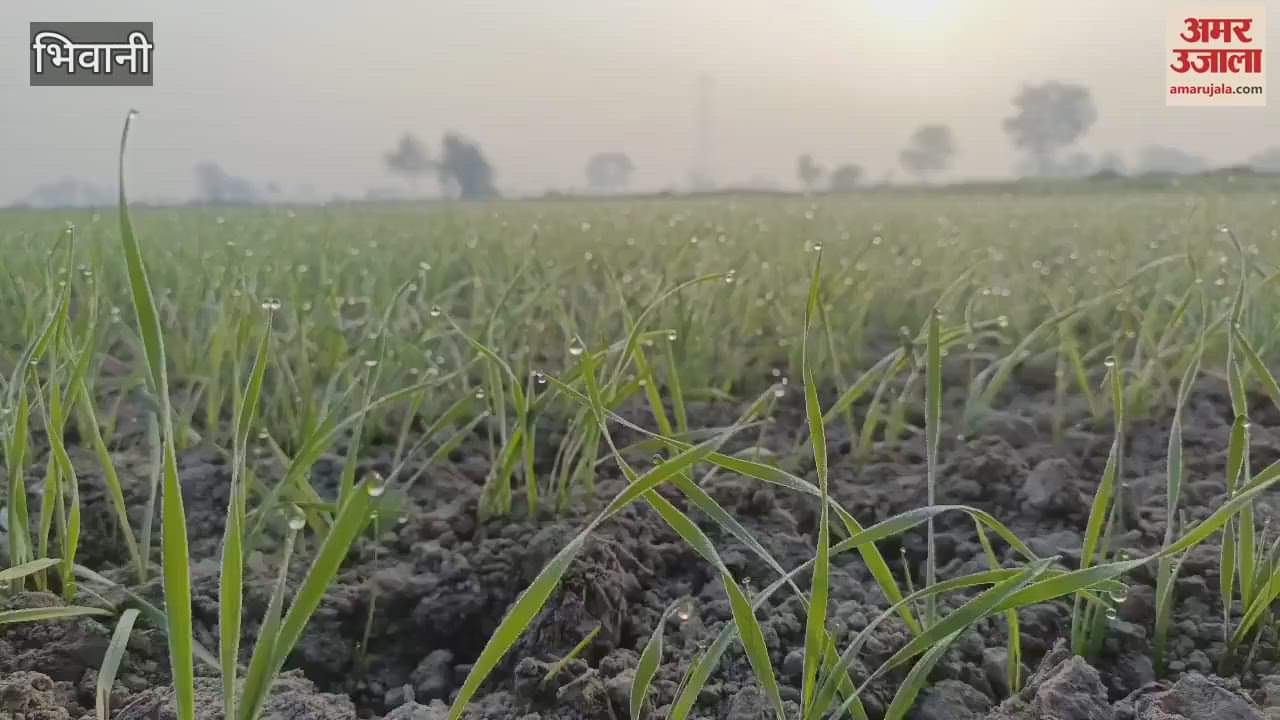 VIDEO : cold wave and falling temperature in Bhiwani