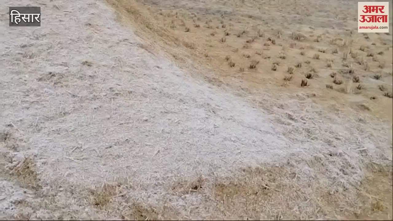 VIDEO : Temperature in Haryana is close to zero