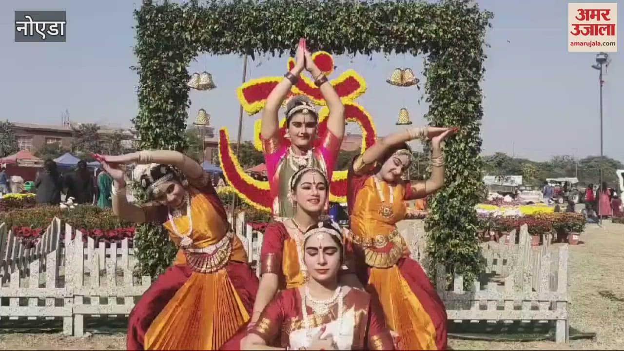 VIDEO : गुलदाउदी लगाने के फायदे, मन को शांत और बढ़ाता है इम्यून सिस्टम, डायबिटीज भी होती है कंट्रोल