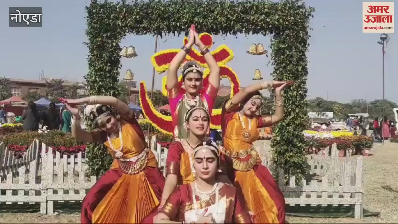 VIDEO : गुलदाउदी लगाने के फायदे, मन को शांत और बढ़ाता है इम्यून सिस्टम, डायबिटीज भी होती है कंट्रोल