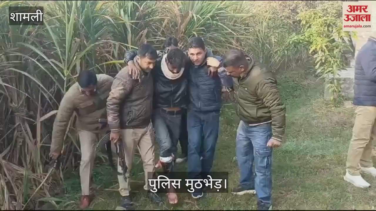 VIDEO : accused of theft was shot and injured in a police encounter in Shamli, Adil is a resident of Muzaffarnagar