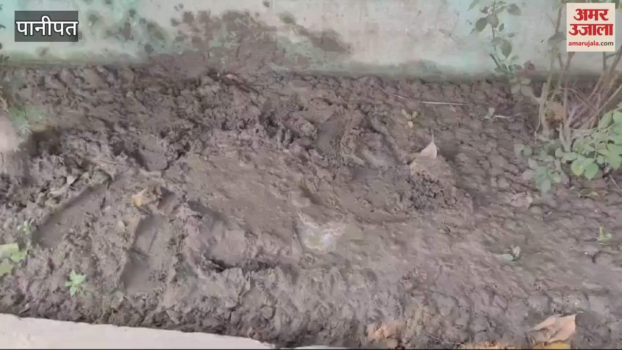 VIDEO : Encounter between miscreants and police in Panipat