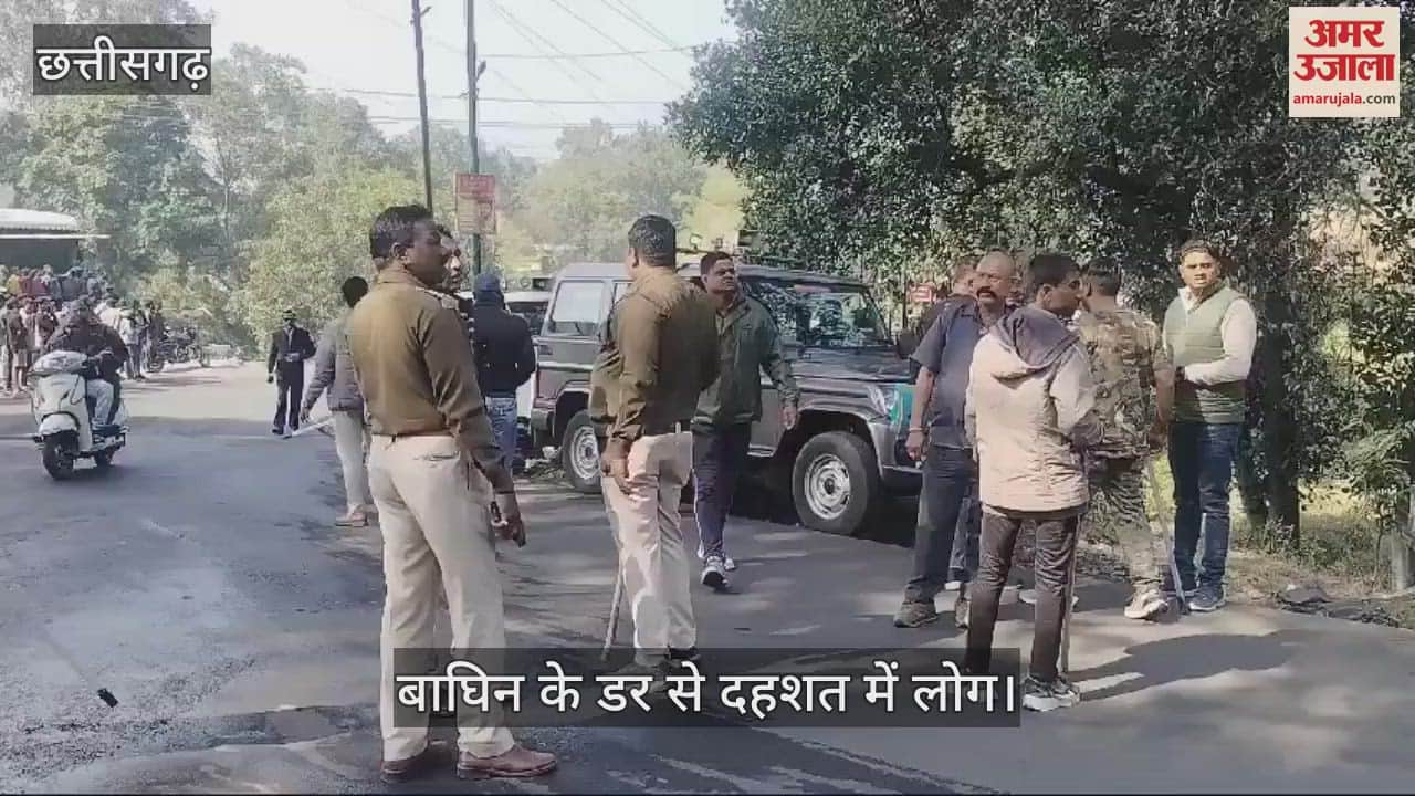 VIDEO : People in Manendragarh are in panic due to fear of tigress forest department team is active
