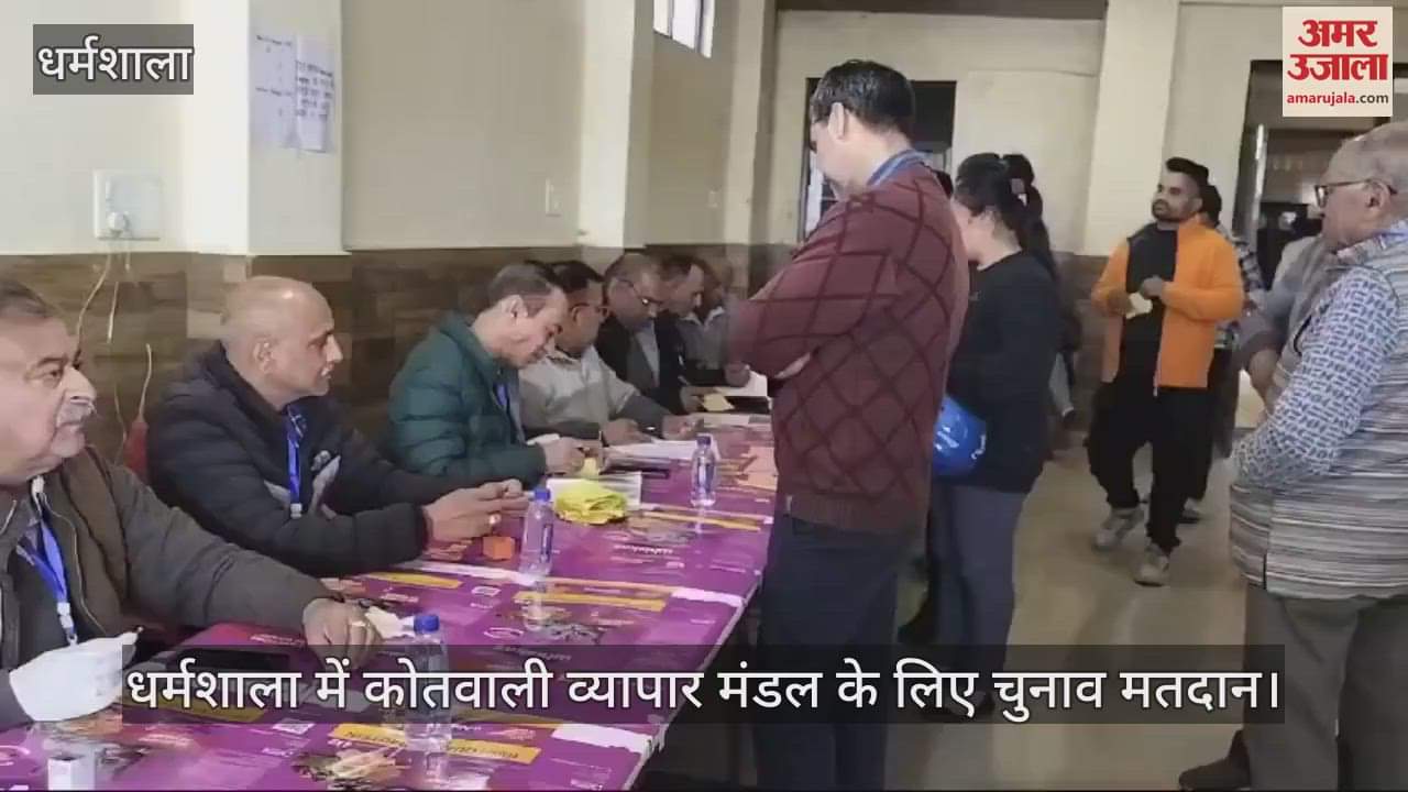 VIDEO : Election voting for Kotwali Business Board in Dharamshala