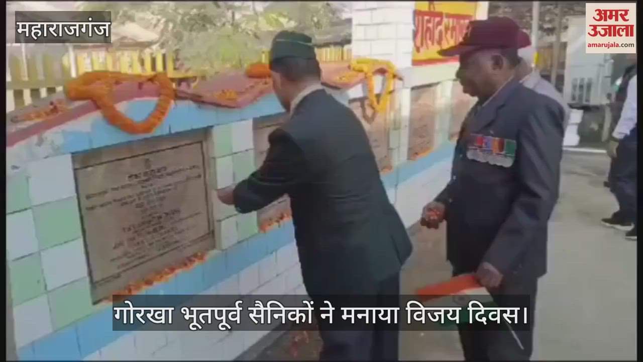 VIDEO : Saluteed the statue of immortal martyr, celebrated Vijay Diwas