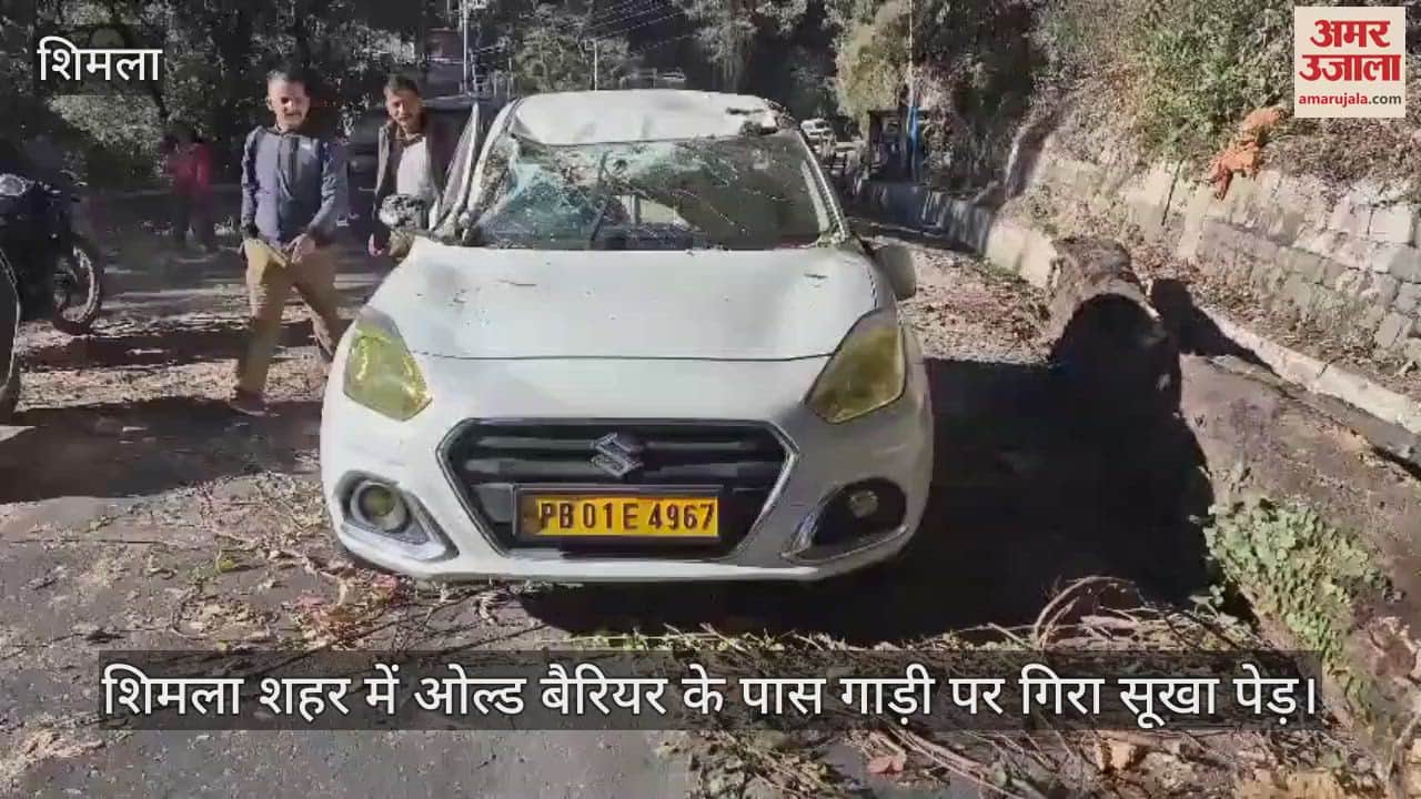VIDEO : A tree fell on a vehicle near the Old Barrier in Shimla city