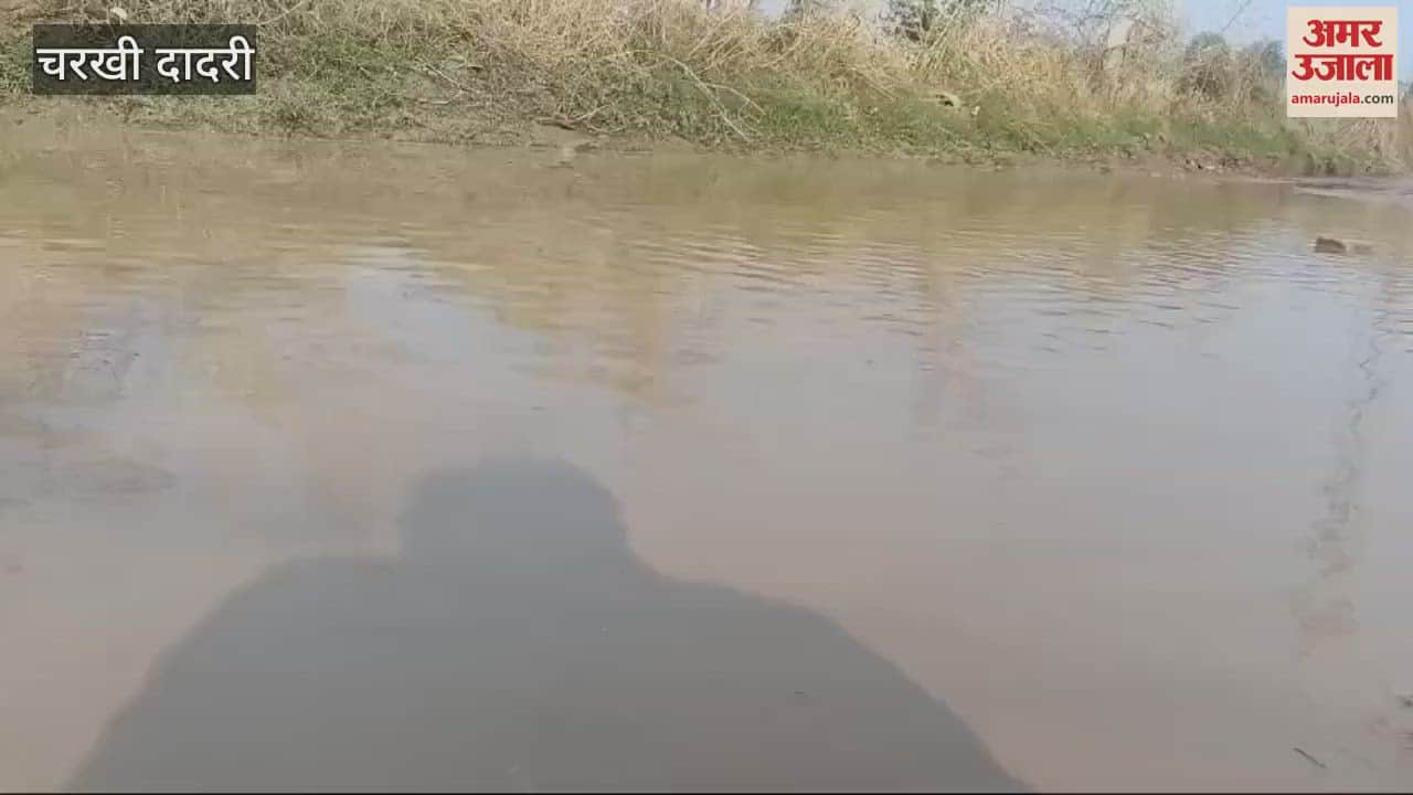 VIDEO : Negligence of responsible people in Dadri, became a problem for students and players