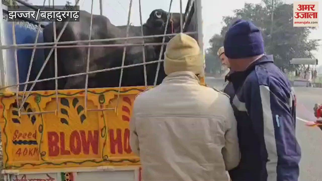 VIDEO : To prevent road accidents in Jhajjar, the traffic police created awareness by putting reflector tape on vehicles