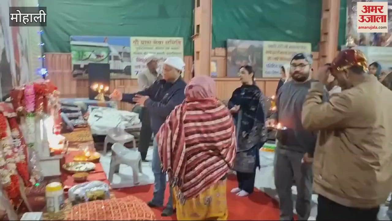 VIDEO : मोहाली में 51 जोतों से गो माता की उतारी आरती
