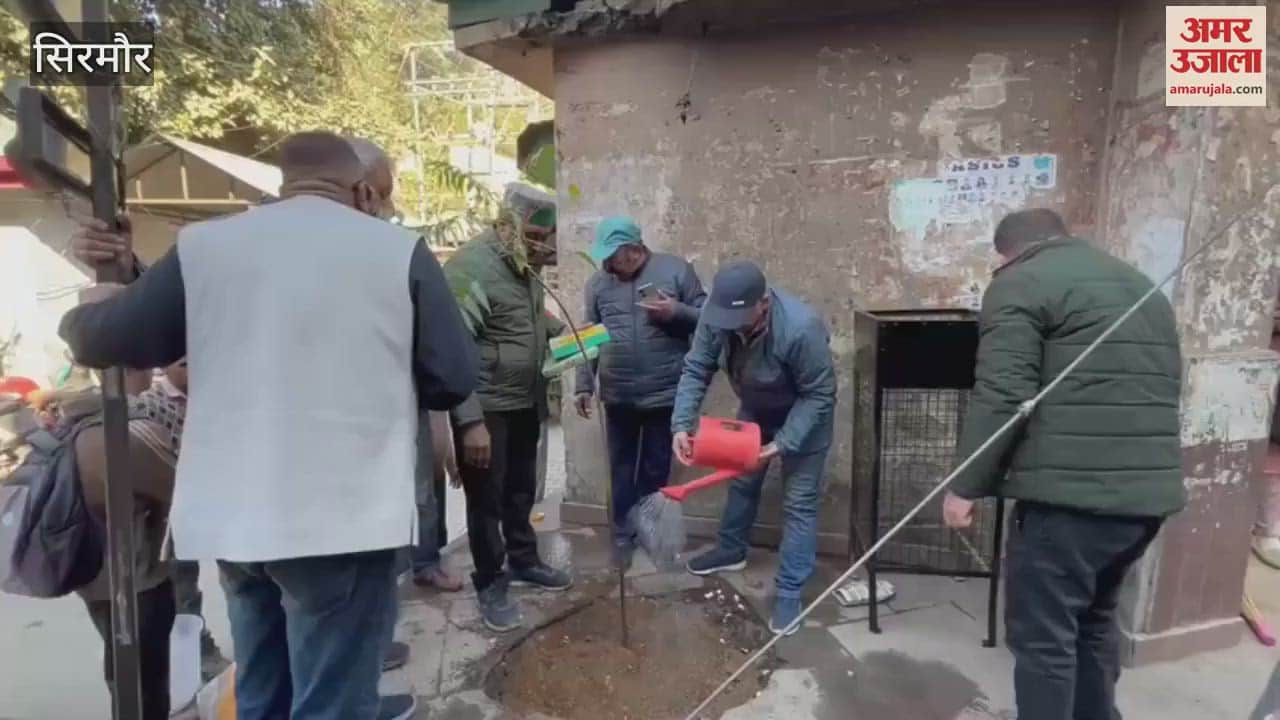 VIDEO : MLA Ajay Solanki planted a tree and gave the message of environmental protection