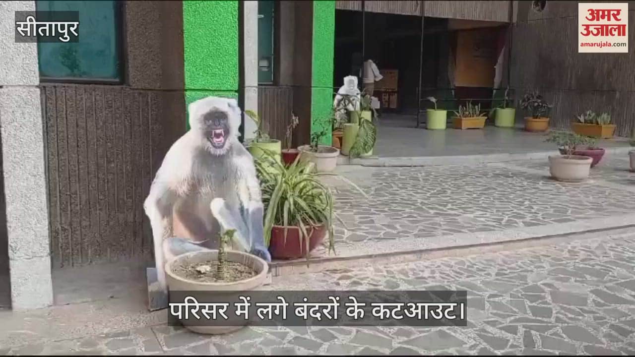 VIDEO : Sitapur: सीतापुर के विकास भवन में बंदरों का खौफ, लगे लंगूर के कट आउट